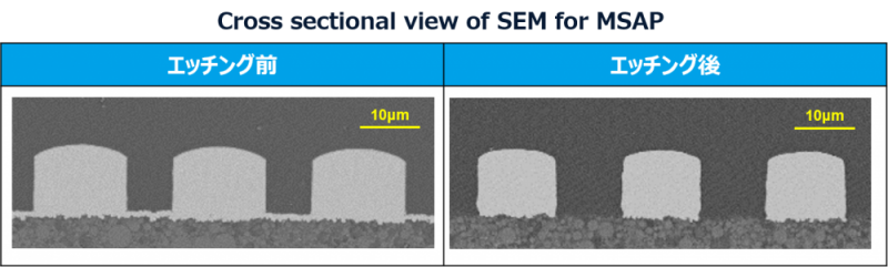 seed_etching_cross-section.png