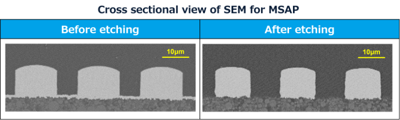 seed_etching_cross-section.png